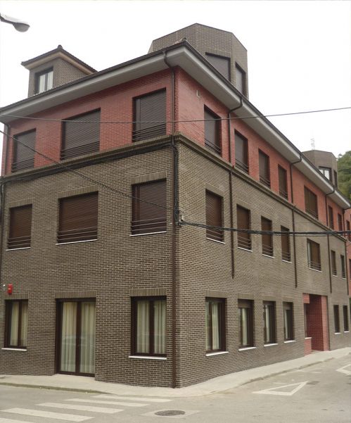 La Huerta en Casa: Cultiva tus Propios Alimentos